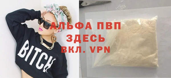 гашик Новозыбков
