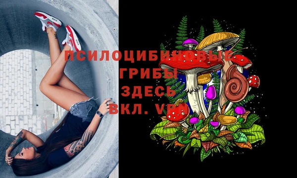 дживик Абинск