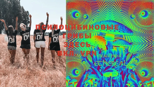 дживик Абинск