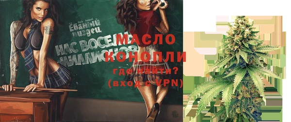 дживик Абинск