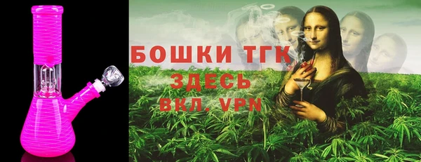 гидра Новодвинск