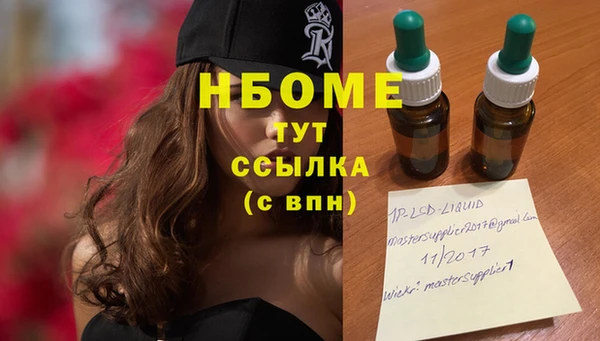 гидра Новодвинск