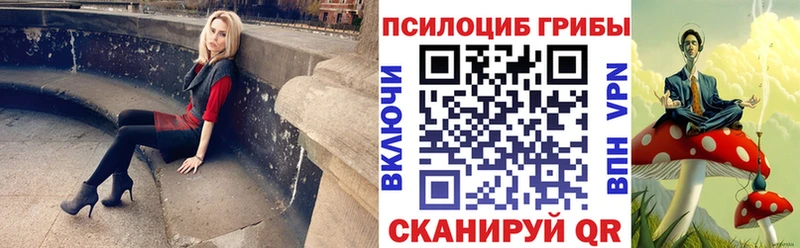 дарк нет клад  Красноперекопск  Псилоцибиновые грибы Psilocybe 